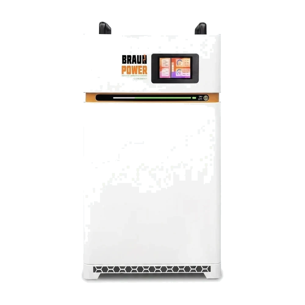 Braun Power 51.2V 314Ah